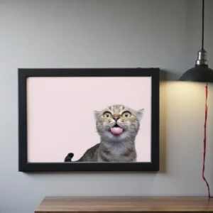 Cat Photo Wall Art – Modern Pet Photography Print